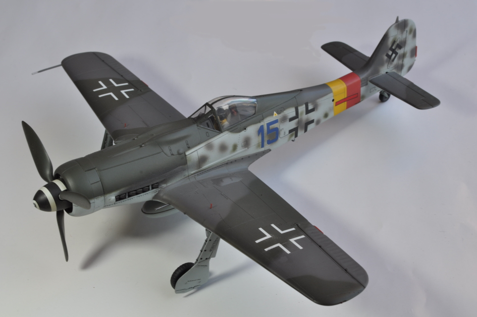 TAMIYA 1/48 Focke Wulf Fw190-D9