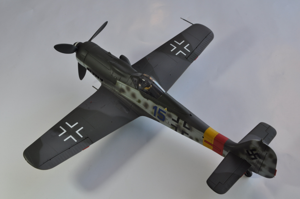 TAMIYA 1/48 Focke Wulf Fw190-D9