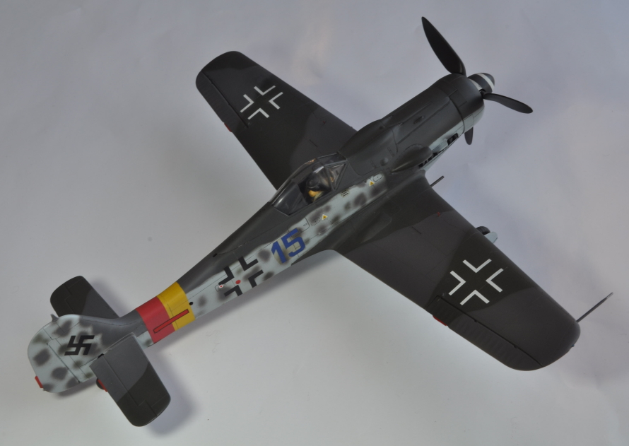 TAMIYA 1/48 Focke Wulf Fw190-D9