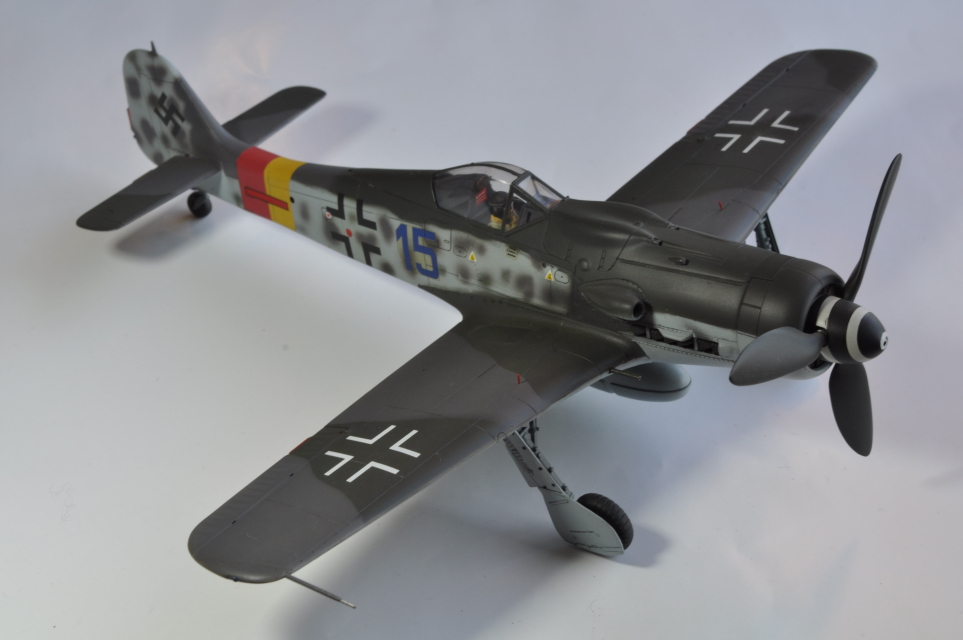 TAMIYA 1/48 Focke Wulf Fw190-D9