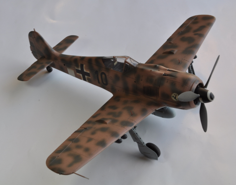 TAMIYA 1/48 Focke Wulf FW190-F8